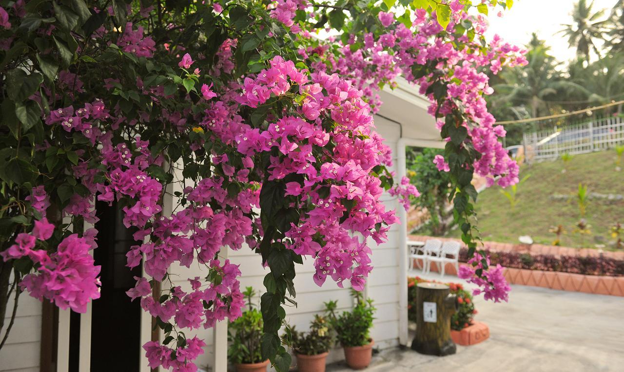 Shell Villa Apartel Resort Koror Dış mekan fotoğraf